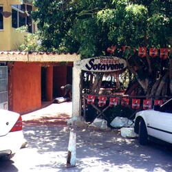 Photos